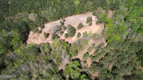 Melvin Leach Road, Union, MS 39365 photo 7