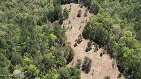 Melvin Leach Road, Union, MS 39365 photo 8