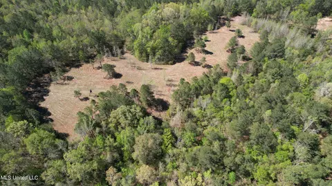 Melvin Leach Road, Union, MS 39365 photo 6