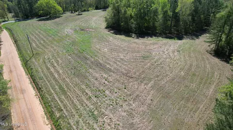 Melvin Leach Road, Union, MS 39365 photo 2