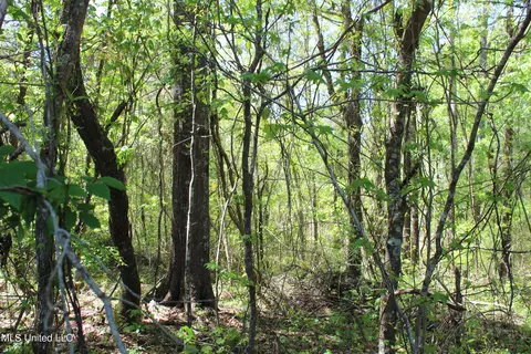 Melvin Leach Road, Union, MS 39365 photo 34