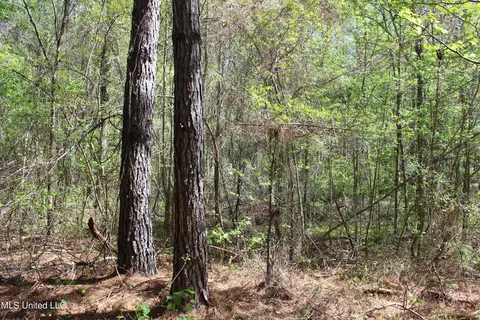 Melvin Leach Road, Union, MS 39365 photo 36