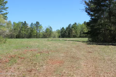 Melvin Leach Road, Union, MS 39365 photo 16