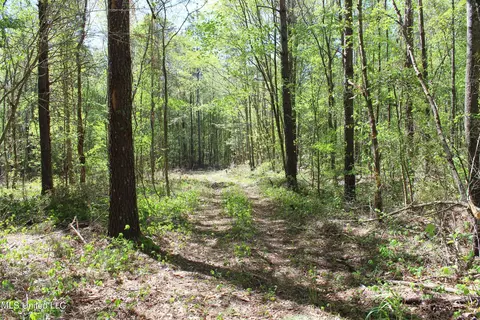 Melvin Leach Road, Union, MS 39365 photo 38