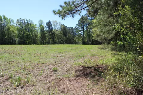 Melvin Leach Road, Union, MS 39365 photo 13
