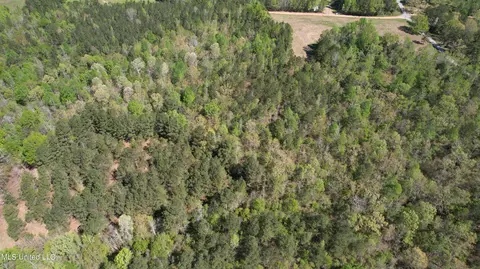 Melvin Leach Road, Union, MS 39365 photo 9