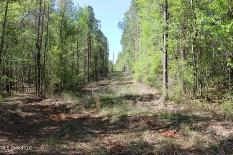 Melvin Leach Road, Union, MS 39365 photo 39
