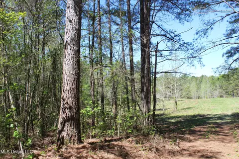 Melvin Leach Road, Union, MS 39365
