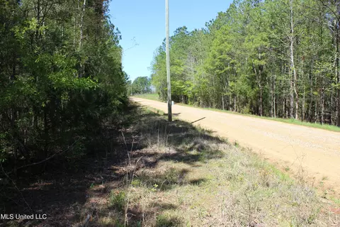 Melvin Leach Road, Union, MS 39365 photo 14