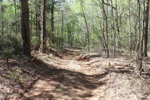 Melvin Leach Road, Union, MS 39365 photo 35