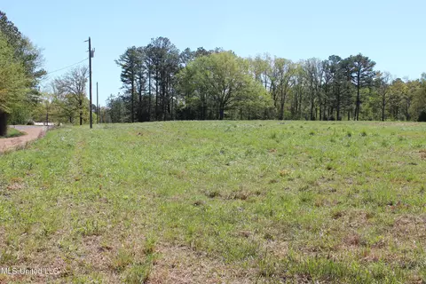 Melvin Leach Road, Union, MS 39365 photo 12