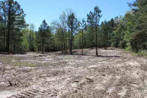 Melvin Leach Road, Union, MS 39365 photo 18