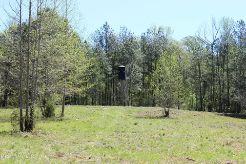 Melvin Leach Road, Union, MS 39365 photo 29