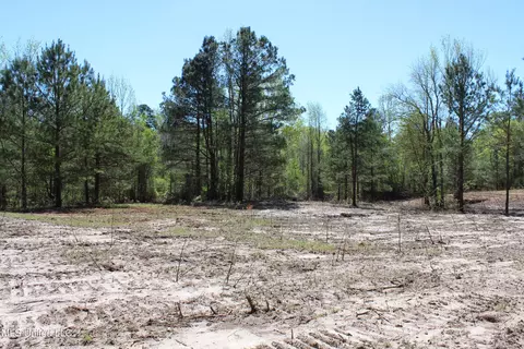 Melvin Leach Road, Union, MS 39365 photo 19