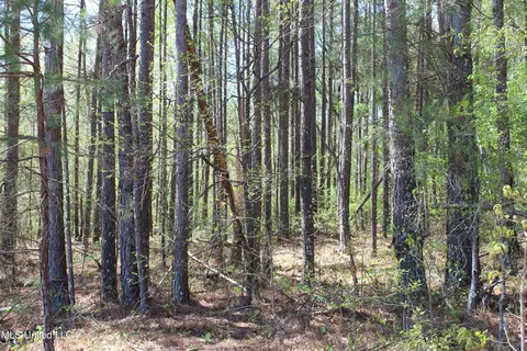 Melvin Leach Road, Union, MS 39365 photo 22