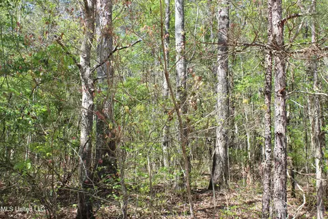 Melvin Leach Road, Union, MS 39365 photo 21
