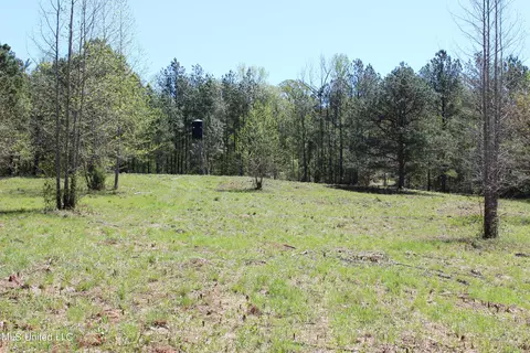 Melvin Leach Road, Union, MS 39365 photo 27