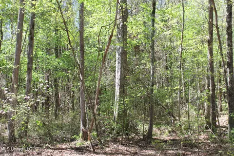 Melvin Leach Road, Union, MS 39365 photo 24