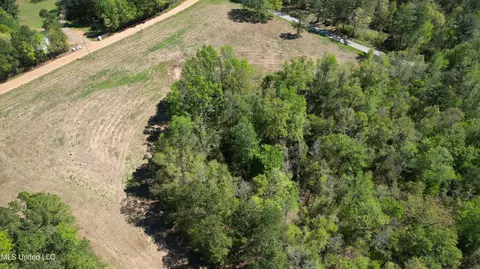 Melvin Leach Road, Union, MS 39365 photo 10