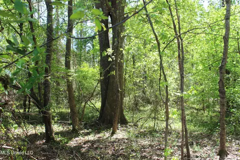 Melvin Leach Road, Union, MS 39365 photo 33