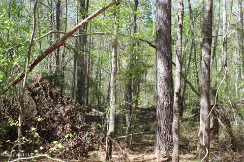 Melvin Leach Road, Union, MS 39365 photo 23
