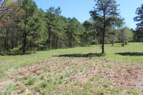 Melvin Leach Road, Union, MS 39365 photo 26