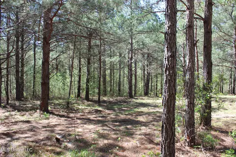Melvin Leach Road, Union, MS 39365 photo 17