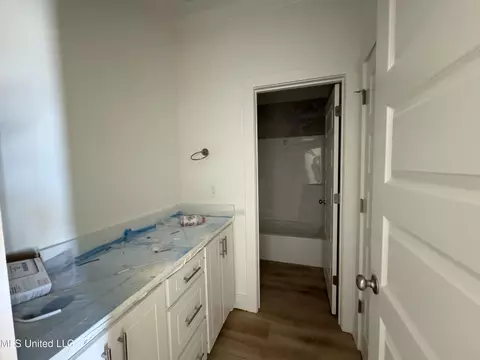 Bath - 165 Cornerstone Dr, Brandon, MS 39042 photo 3 of 3