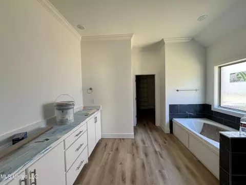 Other - 165 Cornerstone Dr, Brandon, MS 39042 photo 8 of 15