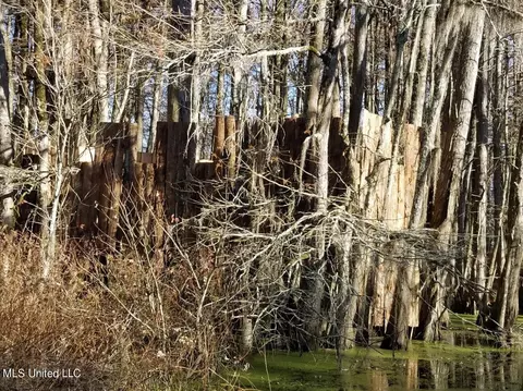 E Us 49, Tchula, MS 39169 photo 6