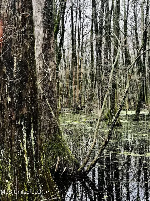 E Us 49, Tchula, MS 39169 photo 18