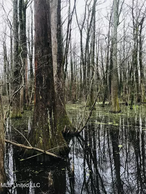 E Us 49, Tchula, MS 39169 photo 17