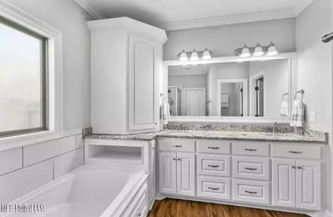 Bath - 139 Glen Arbor Ct, Brandon, MS 39042 photo 3 of 10