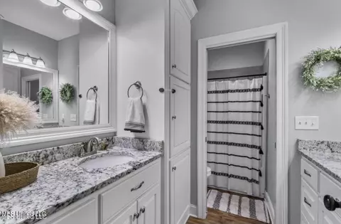 Bath - 139 Glen Arbor Ct, Brandon, MS 39042 photo 6 of 10