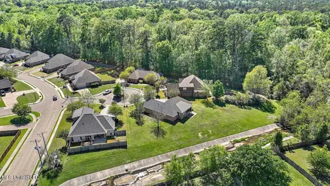 View/Area - 202 Gladeview Ct, Brandon, MS 39047 photo 17 of 19