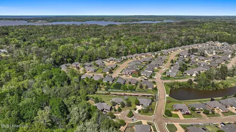 View/Area - 202 Gladeview Ct, Brandon, MS 39047 photo 13 of 19