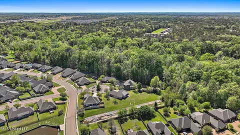 View/Area - 202 Gladeview Ct, Brandon, MS 39047 photo 16 of 19