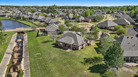 View/Area - 202 Gladeview Ct, Brandon, MS 39047 photo 3 of 19