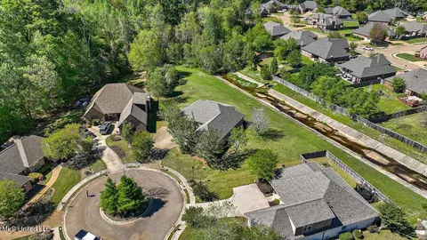 View/Area - 202 Gladeview Ct, Brandon, MS 39047 photo 4 of 19