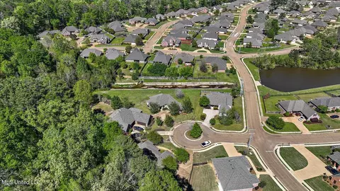 View/Area - 202 Gladeview Ct, Brandon, MS 39047 photo 7 of 19
