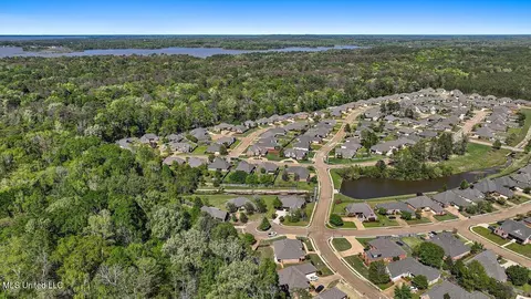 View/Area - 202 Gladeview Ct, Brandon, MS 39047 photo 12 of 19