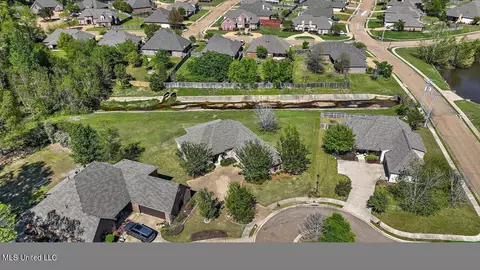 View/Area - 202 Gladeview Ct, Brandon, MS 39047 photo 6 of 19