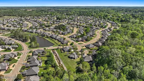 View/Area - 202 Gladeview Ct, Brandon, MS 39047 photo 14 of 19