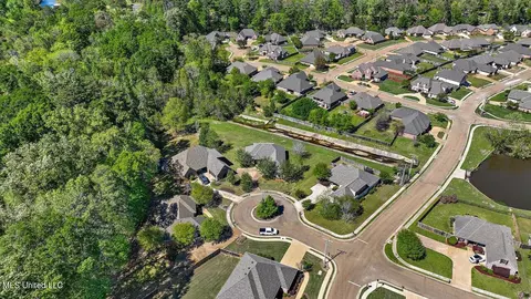 View/Area - 202 Gladeview Ct, Brandon, MS 39047 photo 8 of 19