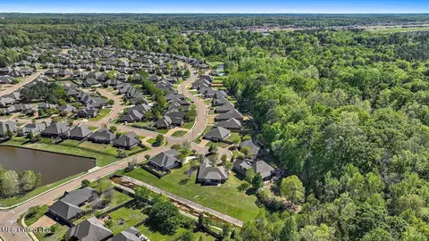 View/Area - 202 Gladeview Ct, Brandon, MS 39047 photo 15 of 19