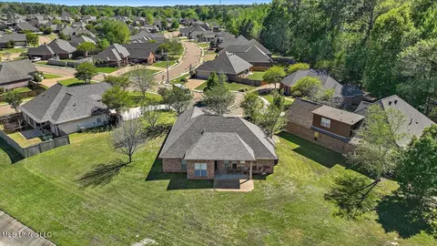 View/Area - 202 Gladeview Ct, Brandon, MS 39047 photo 2 of 19