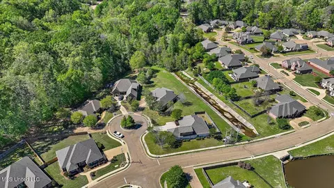 View/Area - 202 Gladeview Ct, Brandon, MS 39047 photo 9 of 19