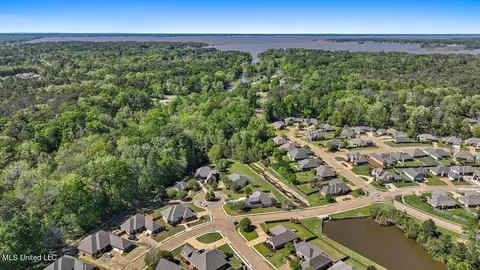 View/Area - 202 Gladeview Ct, Brandon, MS 39047 photo 10 of 19