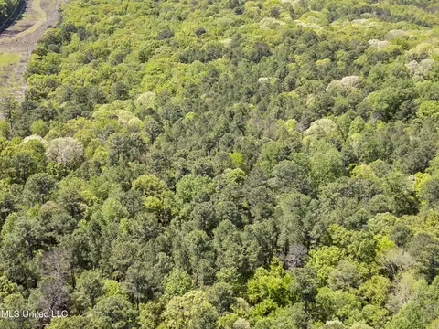 View/Area - 935 Cedar Hill Rd, Madison, MS 39110 photo 2 of 2