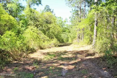 Exterior - 130 Donovan Rd, Lucedale, MS 39452 photo 6 of 11